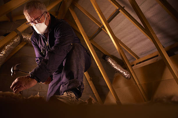 Best Residential Insulation in Lorena, TX