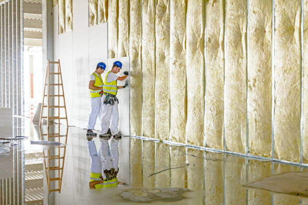 Best Specialized Insulation Services in Lorena, TX